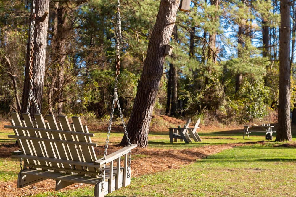 A serene outdoor space featuring wooden swings and picnic tables among tall trees.