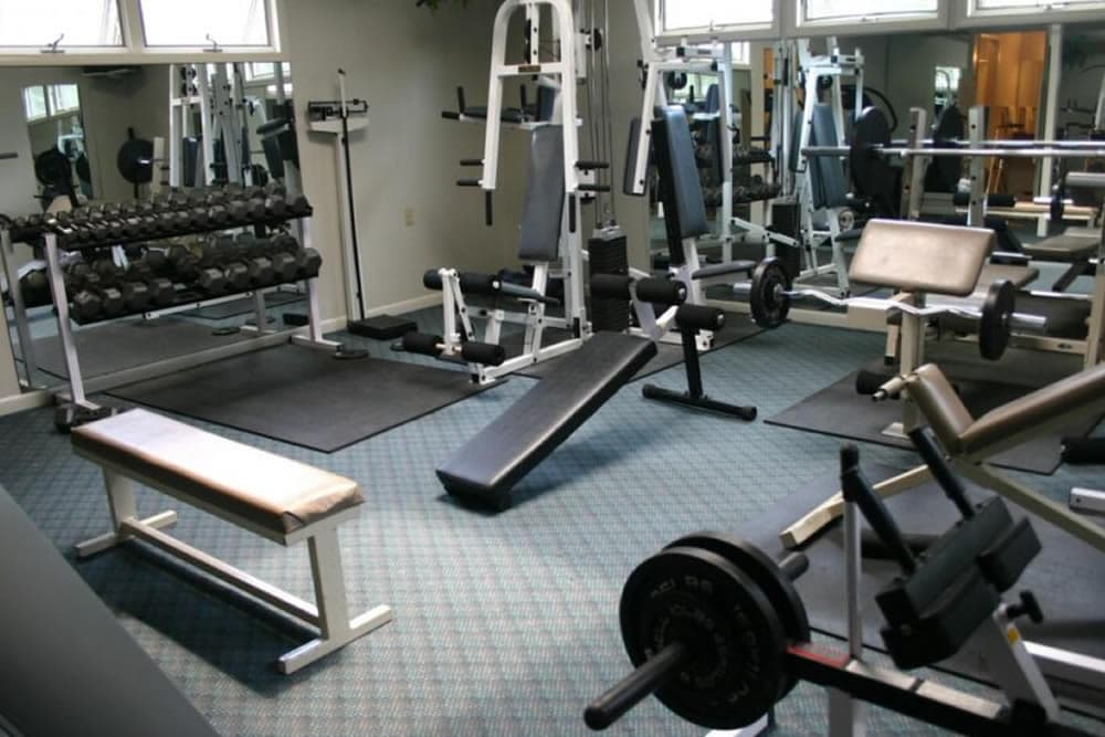 A well-equipped gym featuring weight benches, dumbbells, and various exercise machines.