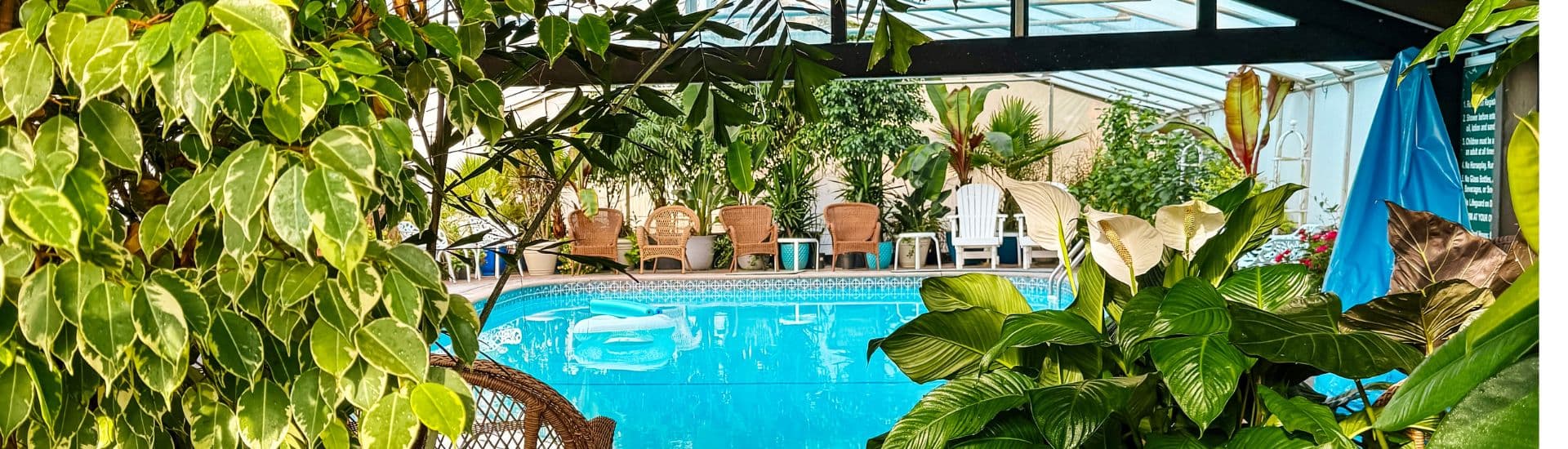 Lush greenery frames a crystal blue indoor pool surrounded by lounge chairs.