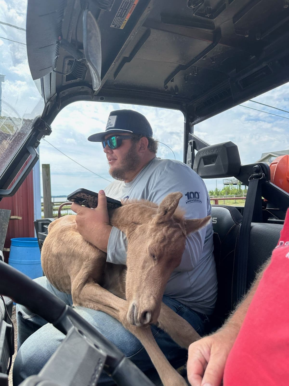 A young man sits in a vehicle with a sleeping foal in his lap, while another person is partially visible beside him. A young man sits in a vehicle with a sleeping foal in his lap, while another person is partially visible beside him.
