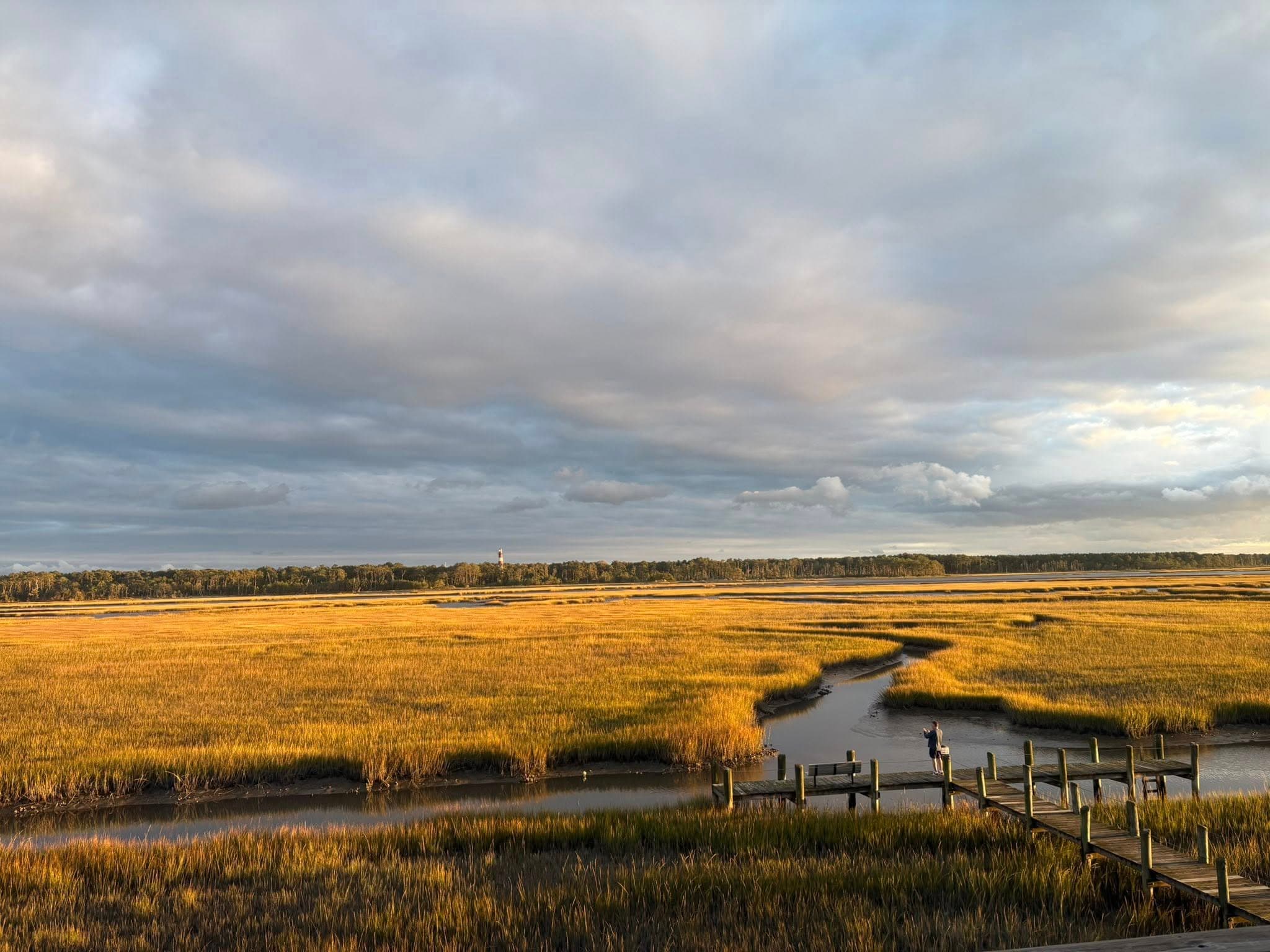 A golden marshland stretches under a cloudy sky, with a winding creek and wooden walkway.