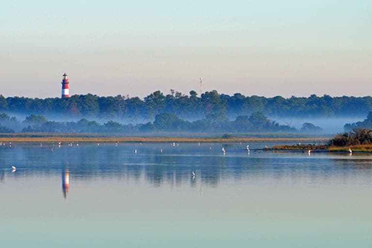 A tranquil waterscape featuring a lighthouse in the background, surrounded by mist and birds.