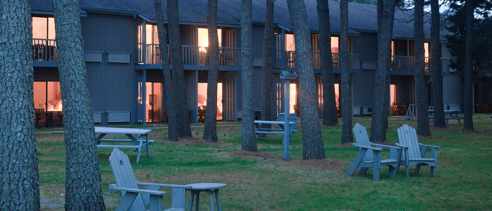 A row of wooden chairs and picnic tables under tall trees, with a multi-story building in the background illuminated by warm light.