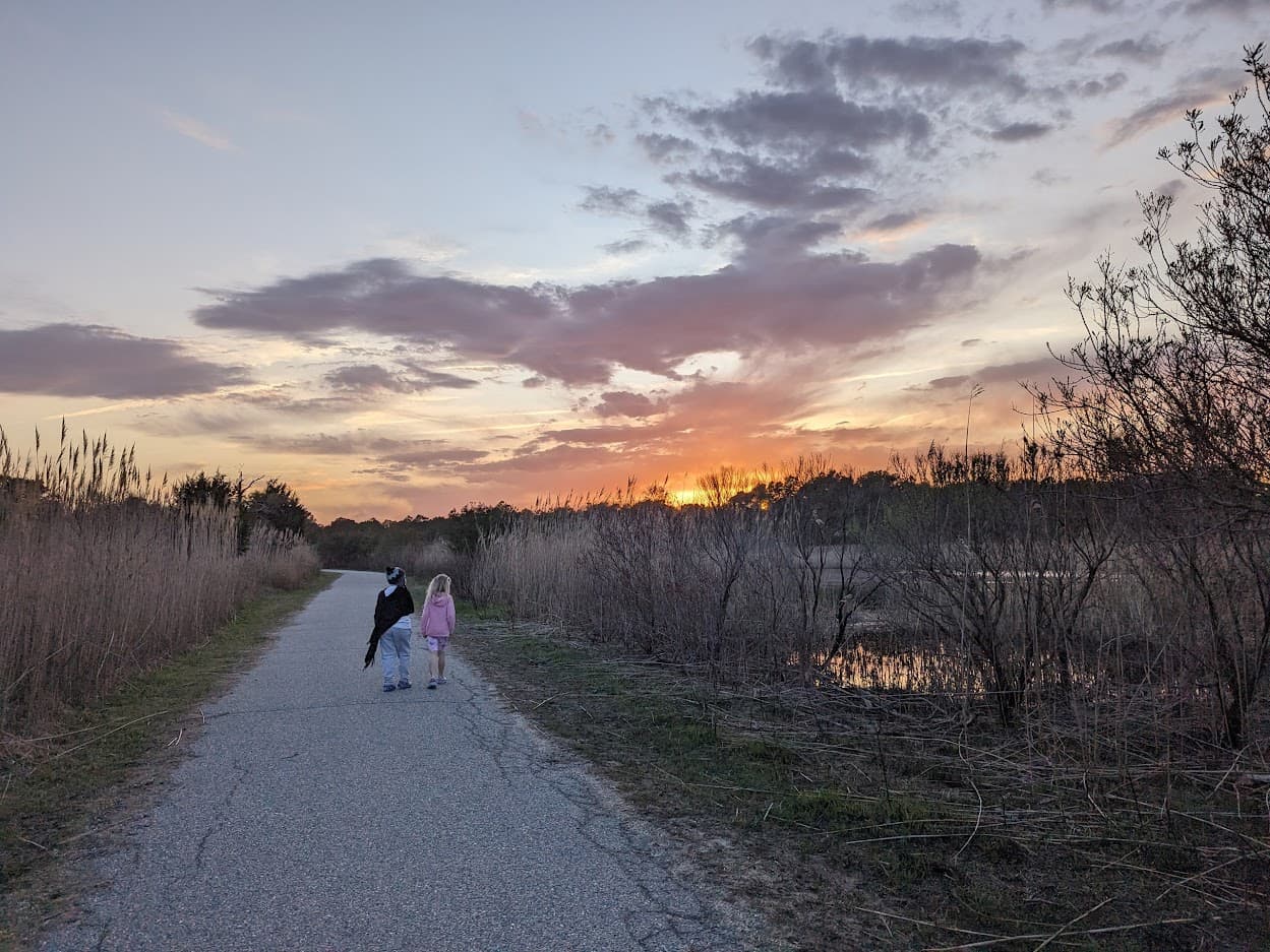 A child walks with a dog along a path at sunset, surrounded by tall grass and trees. A child walks with a dog along a path at sunset, surrounded by tall grass and trees.